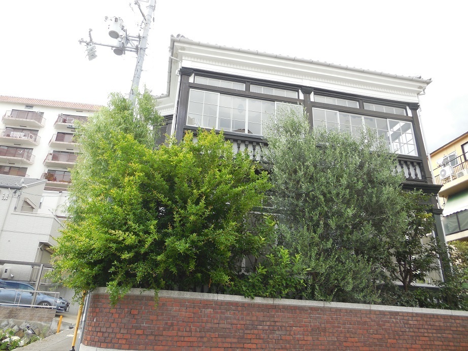 DSCN4592.JPG