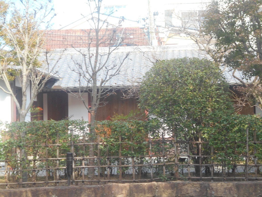 DSCN5139.JPG