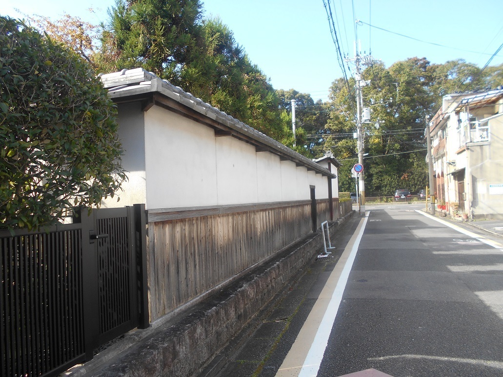 DSCN5142.JPG