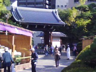 J0010691.jpg